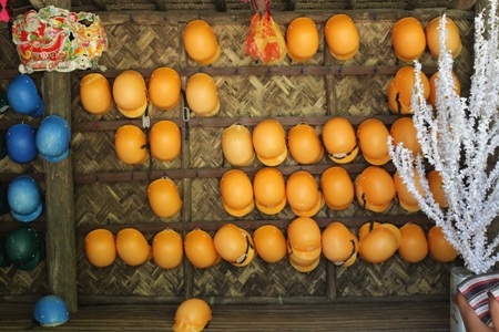 Bạn đừng ngại, để đảm bảo an toàn cho cuộc chơi này đã được chuẩn bị chu đáo