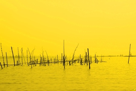 Chiều buông trên phá Tam Giang có lẽ là thời khắc làm nao lòng người nhất