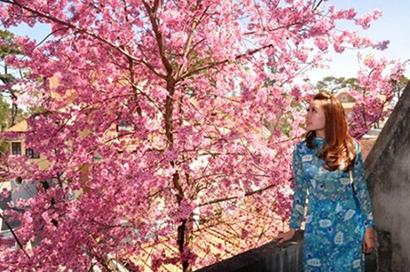 Thiếu nữ bên hoa