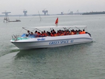 Rừng dừa nước độc đáo trong lòng Hội An