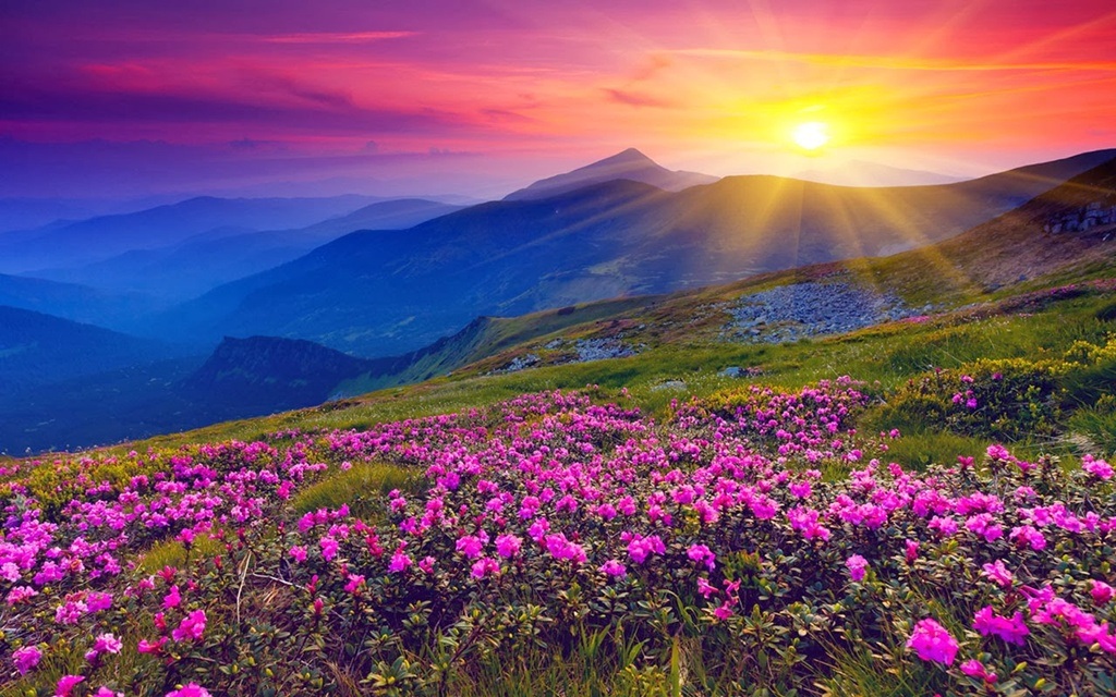 Lạc bước tới “thiên đường hoa” trong dãy Himalaya - 1 Ngắm vẻ đẹp thần tiên của thung lũng dưới nắng mai