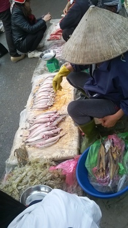 Những sản vật tươi rói được bày bán khắp nơi trong chợ.