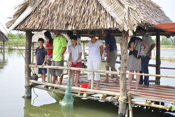 Rừng dừa nước độc đáo "trong lòng" Hội An - 11 Lướt dưới những rặng dừa xanh
dịu, nghe mùi nồng nàn của bùn đất, mát mẻ của thiên nhiên.