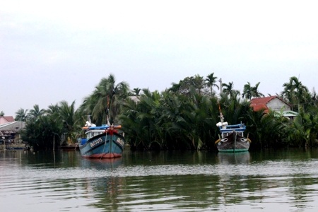 Lướt dưới những rặng dừa xanh
dịu, nghe mùi nồng nàn của bùn đất, mát mẻ của thiên nhiên.