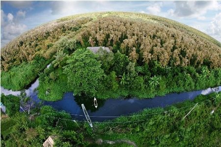 Rừng U Minh Hạ sẽ đóng cửa từ nay đến hết tháng 4 (Ảnh: Internet).