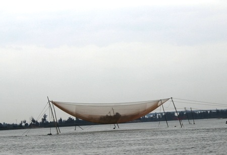 Rừng dừa nước độc đáo trong lòng Hội An