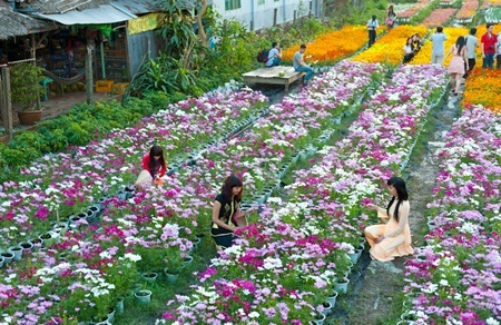 Làng hoa sông nước miền Tây nhộn nhịp mùa Tết - 3 Du khách tới chụp hình khiến làng hoa
càng tấp nập hơn bao giờ hết