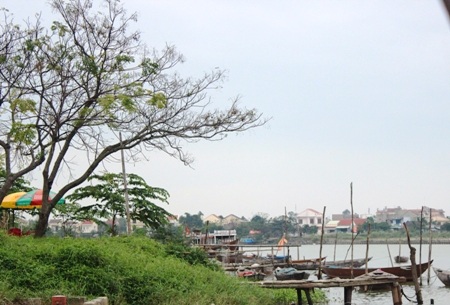 Rừng dừa nước độc đáo trong lòng Hội An