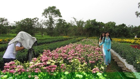  Du khách tới chụp hình khiến làng hoa
càng tấp nập hơn bao giờ hết