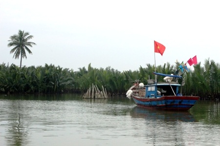 Rừng dừa nước độc đáo trong lòng Hội An