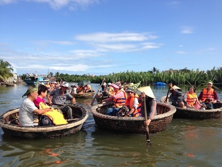 Rừng dừa nước độc đáo trong lòng Hội An