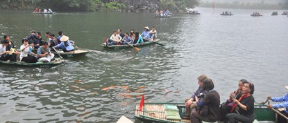 Du khách thích thú ngắm cá chép đỏ ở Tràng An - 5 Đàn cá luôn vây quanh mỗi khi du khách đi thuyền đến.