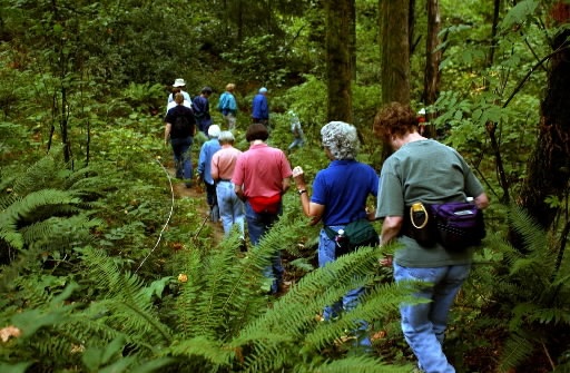 Đi rừng nên đi theo nhóm (Ảnh: Huynh Toàn).