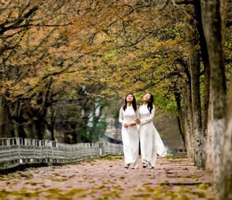 Lên lịch cho chuyến khám phá Việt Nam trong 12 tháng - 11 Lên lịch cho chuyến khám phá Việt Nam trong 12 tháng