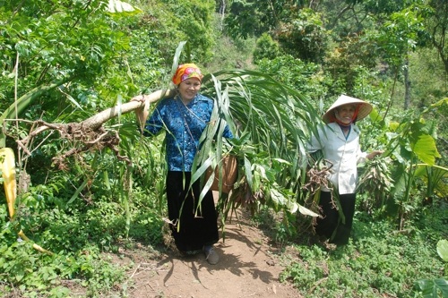 Nên hỏi những người dân bản địa (Ảnh: mocchautourism).