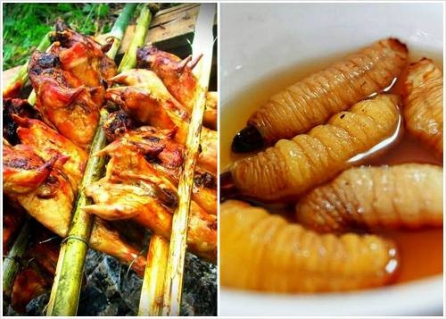 Hấp dẫn những món ngon từ dừa Bến Tre - 3 Đuông dừa và chuột dừa.