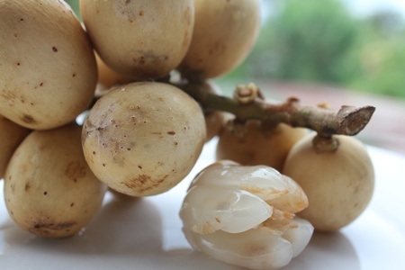 Khách nước ngoài lạ lẫm với muôn kiểu trái cây vùng nhiệt đới - 7 Không chỉ có tại các nước Đông Nam Á, q