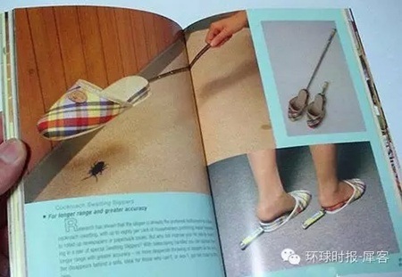 Bạn tức giận vì những con gián đáng ghét trong nhà? Đã có dép diệt gián một công đôi việc