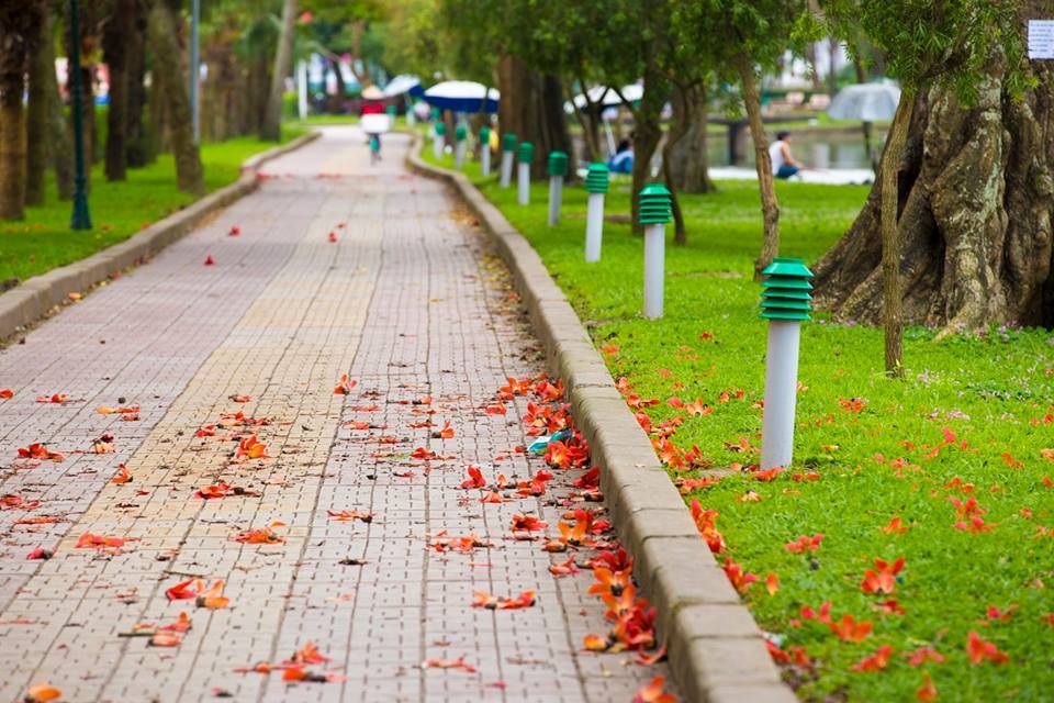 Tháng Tư về thương nhớ Mộc Miên! - 10 Tháng Tư về thương nhớ Mộc Miên!