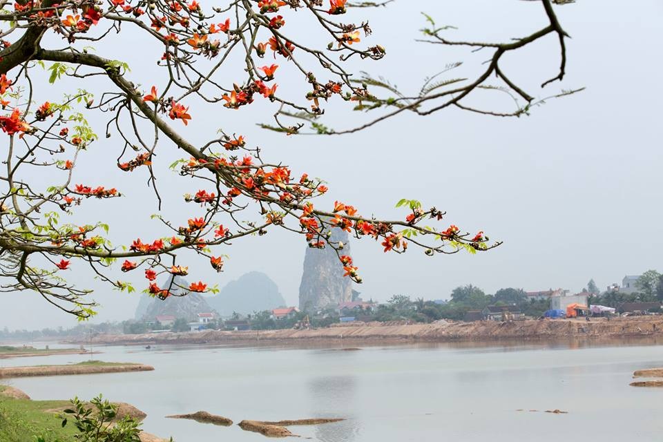 Tháng Tư về thương nhớ Mộc Miên! - 4 Tháng Tư về thương nhớ Mộc Miên!