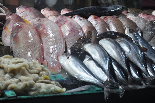  Đủ loại hải sản cho thực khách lựa chọn.