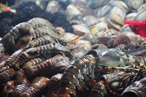  Đủ loại hải sản cho thực khách lựa chọn.