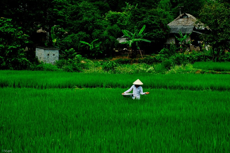 Khám phá Thung Nai với những bất ngờ thú vị - 6 Khám phá Thung Nai với những bất ngờ thú vị