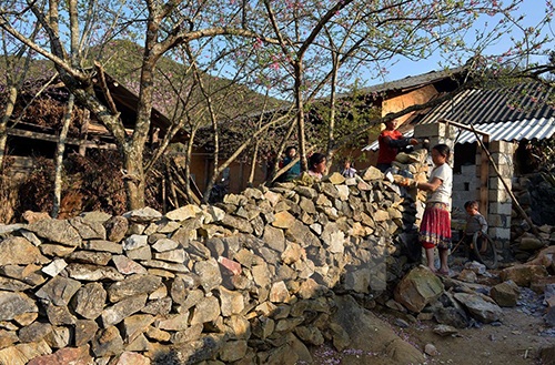 Sắc Xuân về trên vùng cao nguyên đá Đồng Văn - 4 Xếp đá tạo thành tường bao cho ngôi nhà truyền thống của người H Mông.