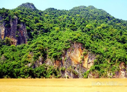 Vách núi đá nơi có “cây cải tử hoàn sinh”.(Ảnh: Hà Sơn).