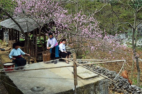 Sắc Xuân về trên vùng cao nguyên đá Đồng Văn - 1 Kéo sợi dệt vải.