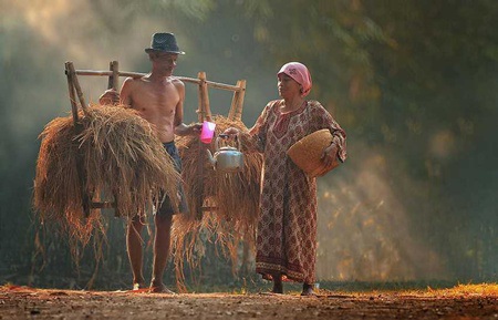 Những khoảnh khắc đồng quê tuyệt đẹp không nên bỏ lỡ - 15 Hoàng Hà
