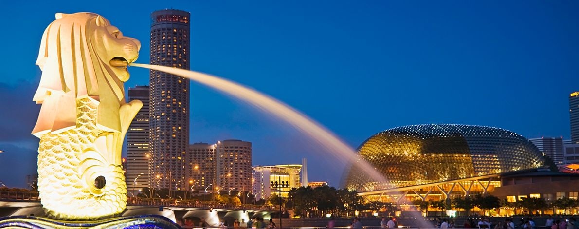 Giật mình trong khác biệt học tiếng Anh của Việt Nam và Singapore - 3 2. Phương pháp: Học tiếng Anh giống trẻ em 2 tuổi