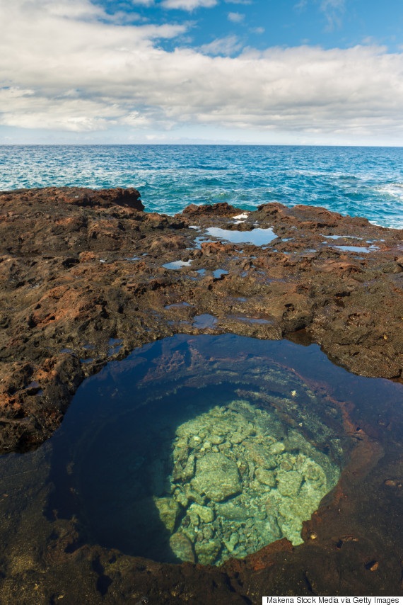 Ngâm mình trong Top 5 vũng biển tuyệt đẹp ở Hawaii - 6 Theo