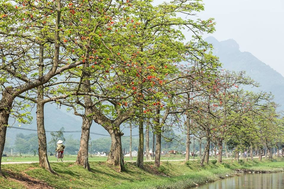 Tháng Tư về thương nhớ Mộc Miên! - 7 Tháng Tư về thương nhớ Mộc Miên!