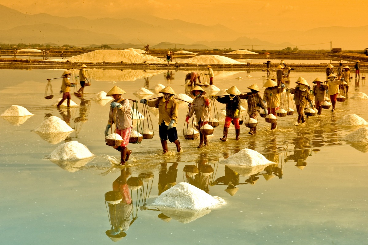 Gợi ý cho chuyến khám phá đảo Lý Sơn - 1 Di chuyển