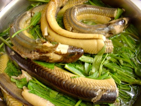 Điểm danh những món ăn đặc sản ở vùng đất mũi Cà Mau - 2 Điểm danh những món ăn đặc sản ở vùng đất mũi Cà Mau