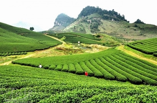 Những địa điểm du lịch giá rẻ lý tưởng cho kỳ nghỉ 30/4-1/5 - 1 Những địa điểm du lịch giá rẻ lý tưởng cho kỳ nghỉ 30/4-1/5