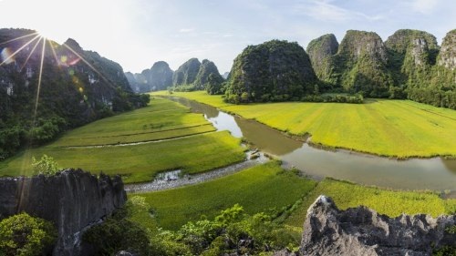 Sững sờ trước “bức họa đồng quê” Tam Cốc mùa lúa chín