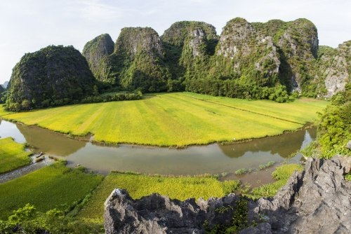 Sững sờ trước “bức họa đồng quê” Tam Cốc mùa lúa chín