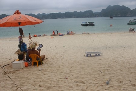 Hộp sữa, vỏ lon bia và ngay cả túi rác được du khách ngang nhiên quăng ra đảo, ra bãi biển…