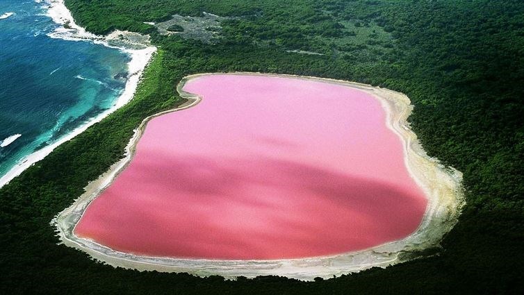 "Báu vật" thế giới tuyệt đẹp ẩn giấu dưới đại dương - Kỳ 2 - 4 Grand Prismatic Hot Spring là suối nước nóng lớn nhất tại Mỹ. (Nguồn: flickr/prepster96).