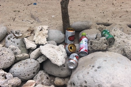 Hộp sữa, vỏ lon bia và ngay cả túi rác được du khách ngang nhiên quăng ra đảo, ra bãi biển…