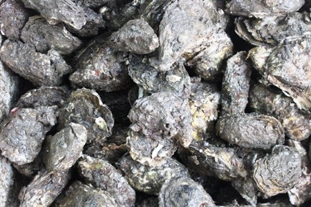 Mỗi khi nhắc đến chợ ở Hà Nội, không thể không nhắc đến chợ Đồng Xuân.