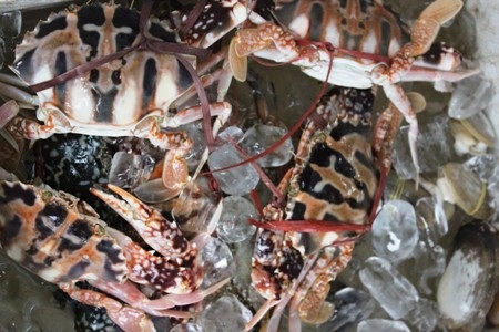 Mỗi khi nhắc đến chợ ở Hà Nội, không thể không nhắc đến chợ Đồng Xuân.