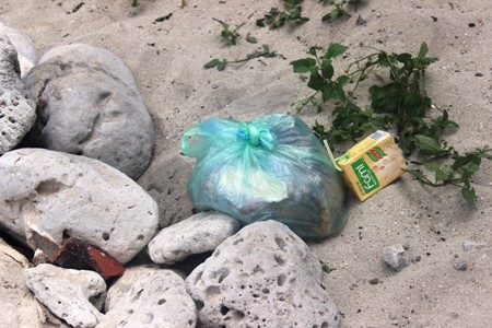Hộp sữa, vỏ lon bia và ngay cả túi rác được du khách ngang nhiên quăng ra đảo, ra bãi biển…