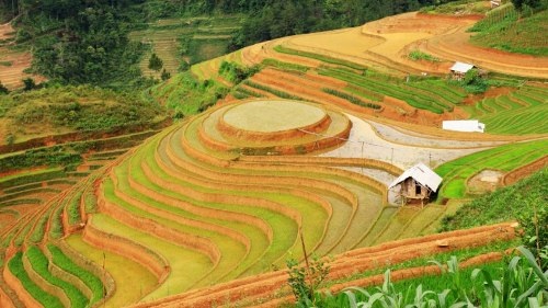 Mù Cang Chải đẹp "mê hồn" trong mùa đổ nước - 12 Vẻ đẹp ngỡ ngàng của Mù Cang Chải - Yên Bái mùa cấy làm say lòng biết bao du khách!