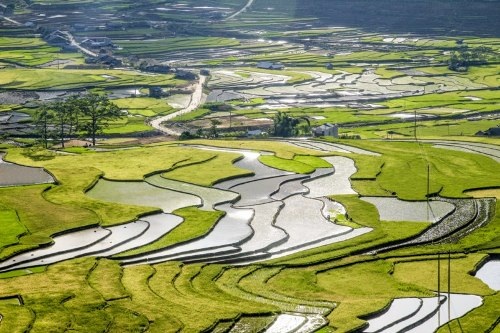 Mù Cang Chải đẹp "mê hồn" trong mùa đổ nước - 13 Vẻ đẹp ngỡ ngàng của Mù Cang Chải - Yên Bái mùa cấy làm say lòng biết bao du khách!