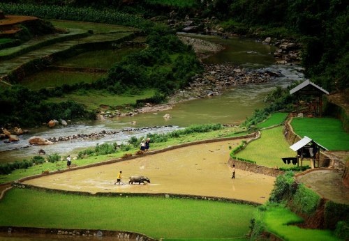 Mù Cang Chải đẹp "mê hồn" trong mùa đổ nước - 14 Vẻ đẹp ngỡ ngàng của Mù Cang Chải - Yên Bái mùa cấy làm say lòng biết bao du khách!