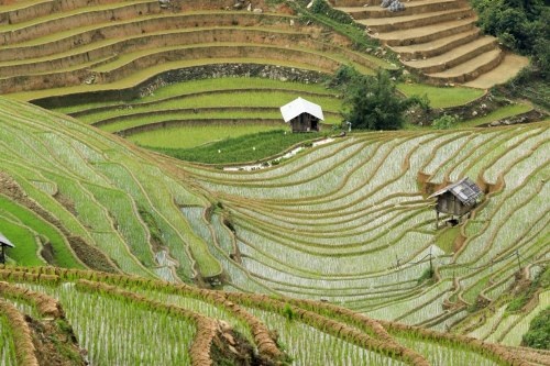 Mù Cang Chải đẹp "mê hồn" trong mùa đổ nước - 15 Vẻ đẹp ngỡ ngàng của Mù Cang Chải - Yên Bái mùa cấy làm say lòng biết bao du khách!