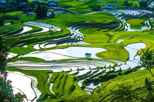Mù Cang Chải đẹp "mê hồn" trong mùa đổ nước - 16 Vẻ đẹp ngỡ ngàng của Mù Cang Chải - Yên Bái mùa cấy làm say lòng biết bao du khách!